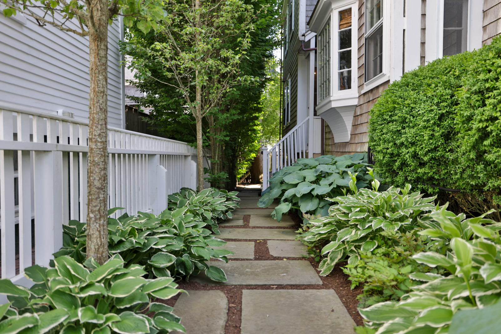 12 Hussey Street Nantucket, MA 02554 - Photo 40 of 47 a view of a pathway with flower plants