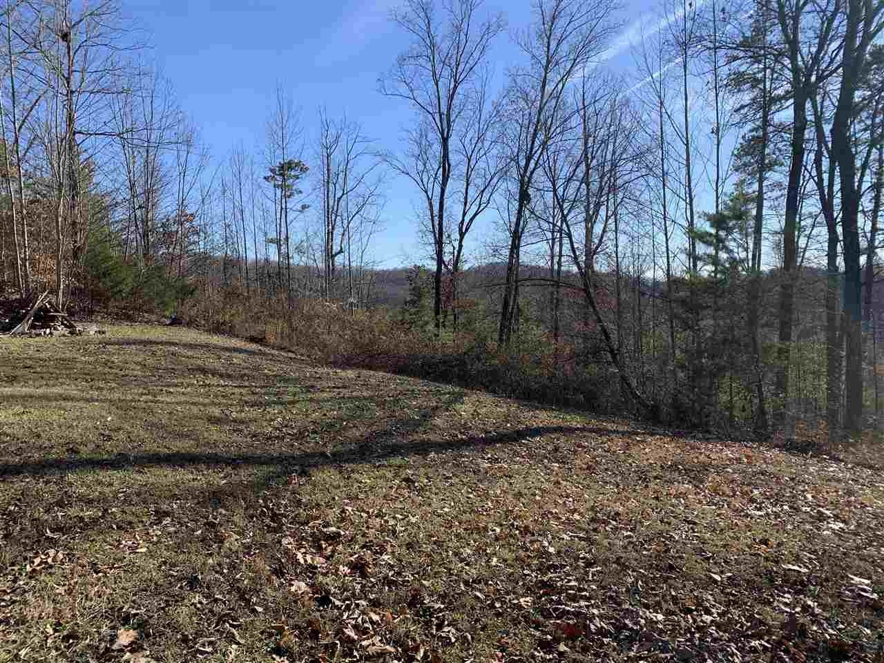 120 County Road 179 Decatur, TN 37322 - Photo 2 of 15 Gallery Image 2