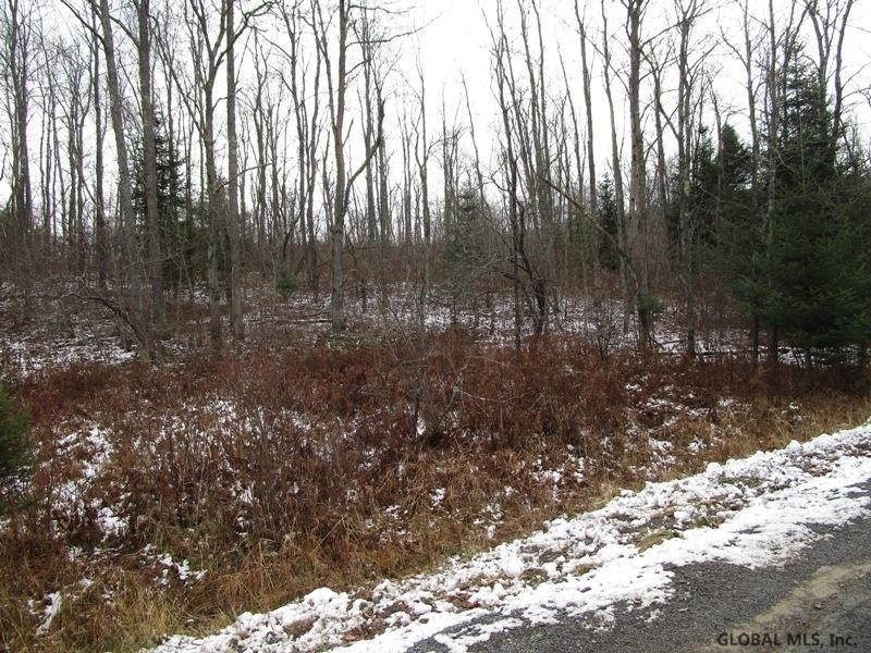 727 Clapper Hollow Road Jefferson, NY 12093 - Photo 27 of 30 Photo 27
