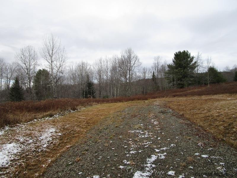 727 Clapper Hollow Road Jefferson, NY 12093 - Photo 4 of 30 Photo 4