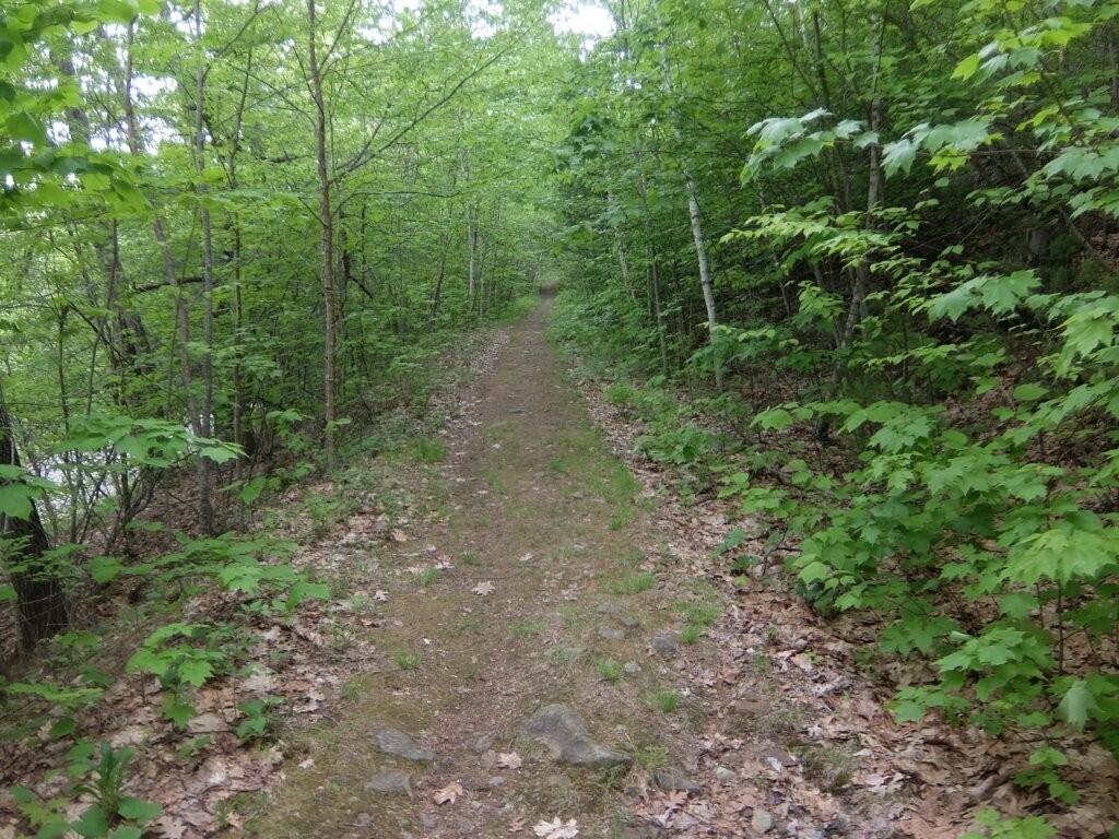 0 Hatchet Mountain Road Hope, ME 04847 - Photo 6 of 31 Preserve Trail heading up hill