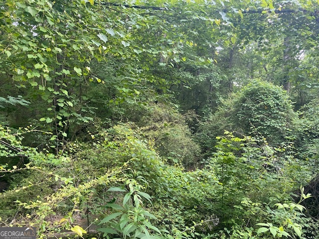 0 Standing Rock Road Senoia, GA 30276 - Photo 10 of 17