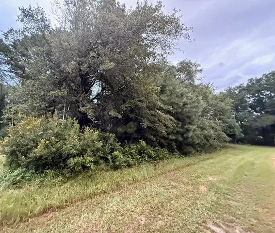 $20,000 | 0 Staley Field Lane, St. Matthews, SC 29135