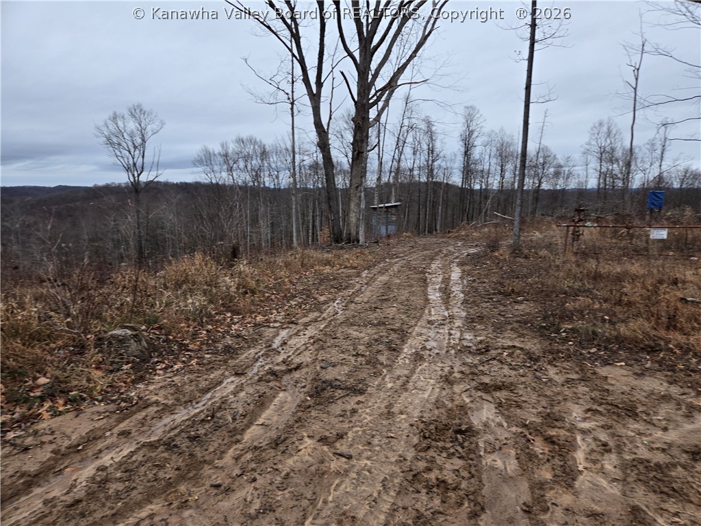 0 Beechy Road Procious, WV 25164 - Photo 24 of 29 Gallery Image 24