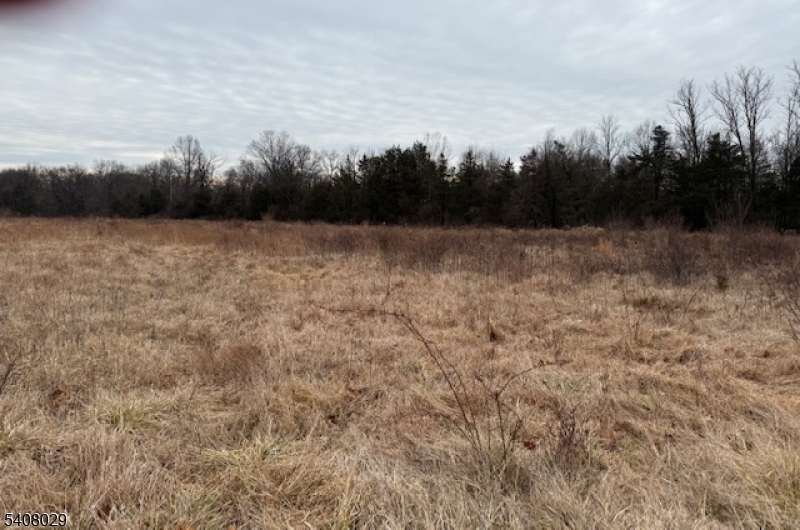 23 Coddington Road Whitehouse Station, NJ 08889 - Photo 3 of 7 a view of a dry yard