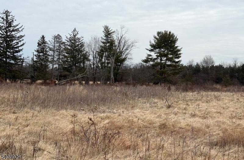 23 Coddington Road Whitehouse Station, NJ 08889 - Photo 5 of 7 a view of outdoor space and a lake view