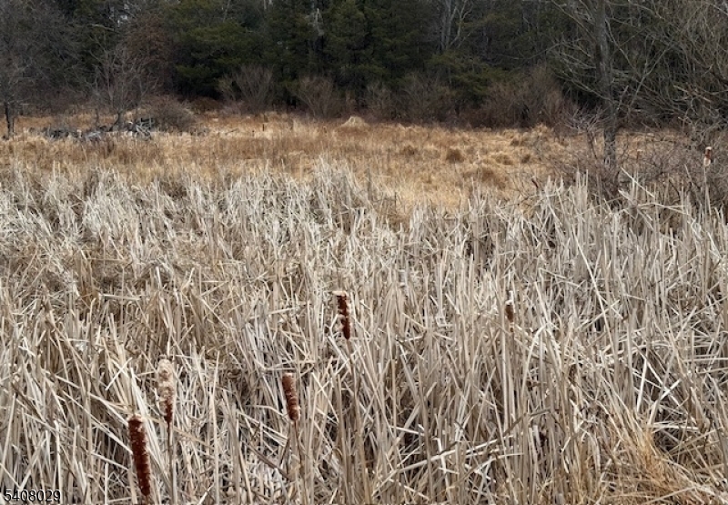 23 Coddington Road Whitehouse Station, NJ 08889 - Photo 7 of 7 a view of a yard