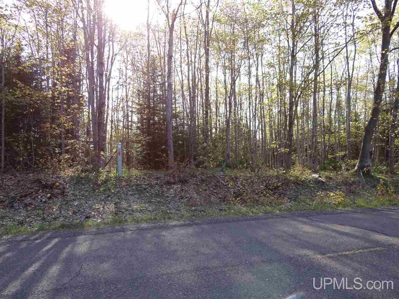 Tbd Rauhala Road, Unit PARCEL 2 Atlantic Mine, MI 49931 - Photo 19 of 19 Gallery Image 19