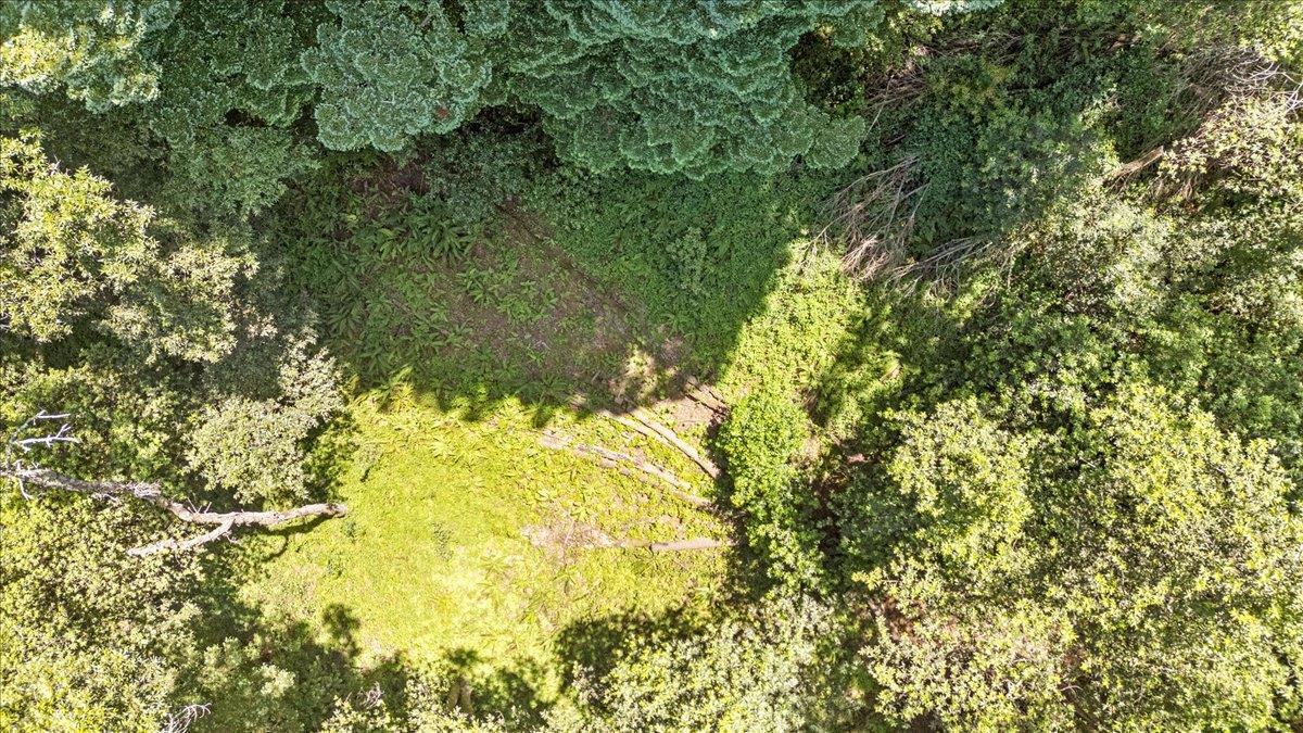 115 Edison Way Soquel, CA 95073 - Photo 11 of 24