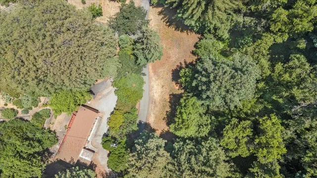 a view of a house with a lush green forest