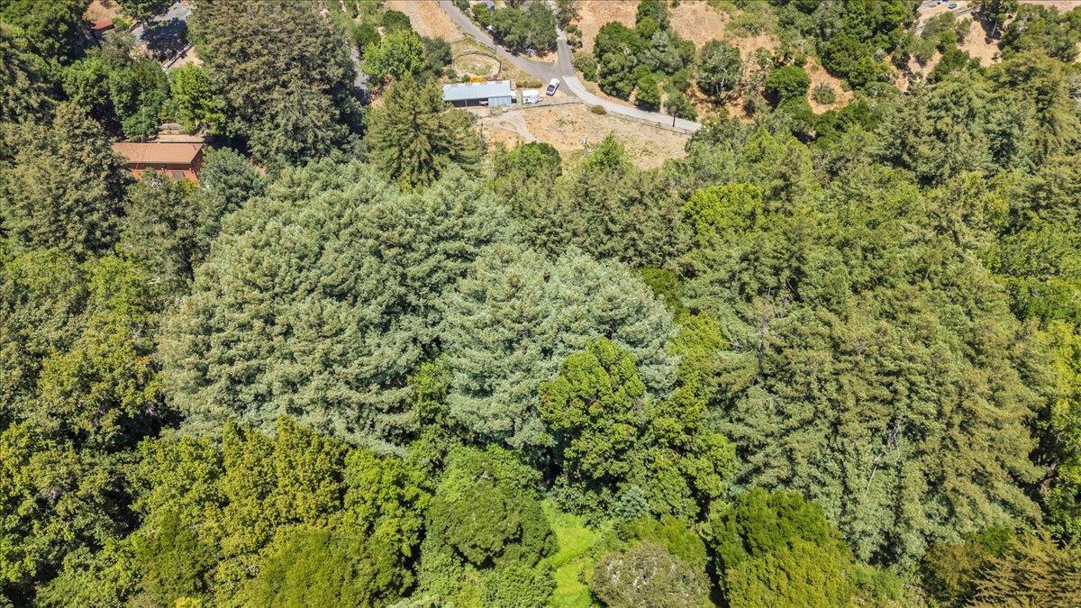 115 Edison Way Soquel, CA 95073 - Photo 15 of 24