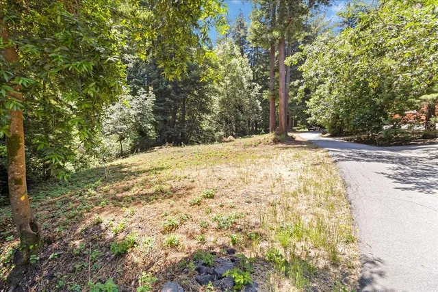 an aerial view of residential houses with outdoor space and trees