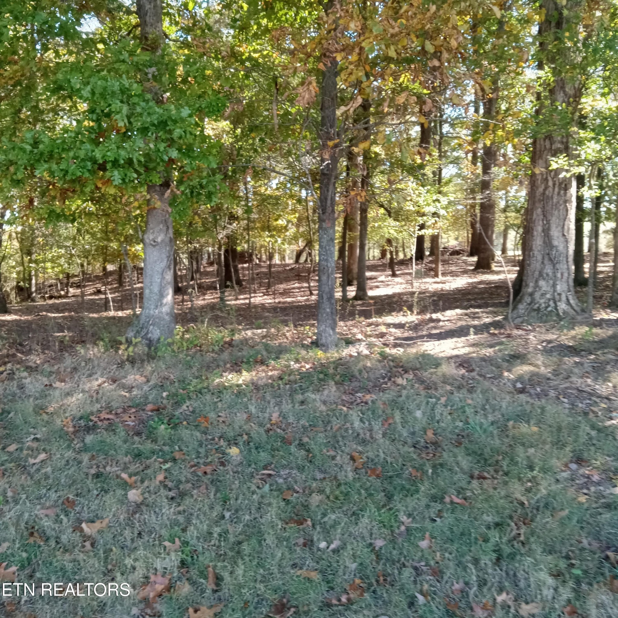890 Fairview Road Tellico Plains, TN 37385 - Photo 18 of 19 Gallery Image 18