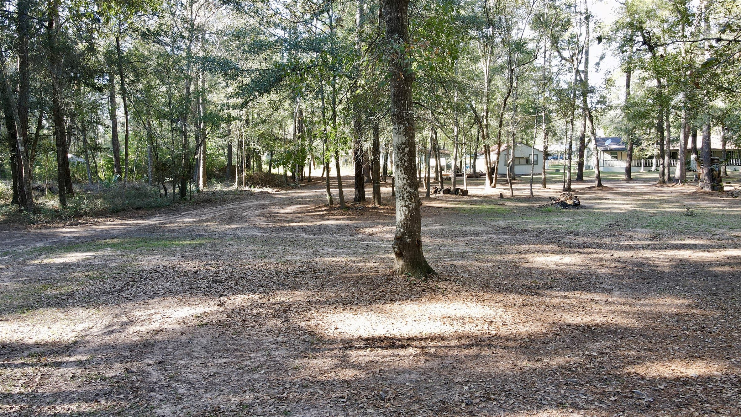 585 County Road 3796 Cleveland, TX 77328 - Photo 22 of 23 a view of a tree in the middle of a yard
