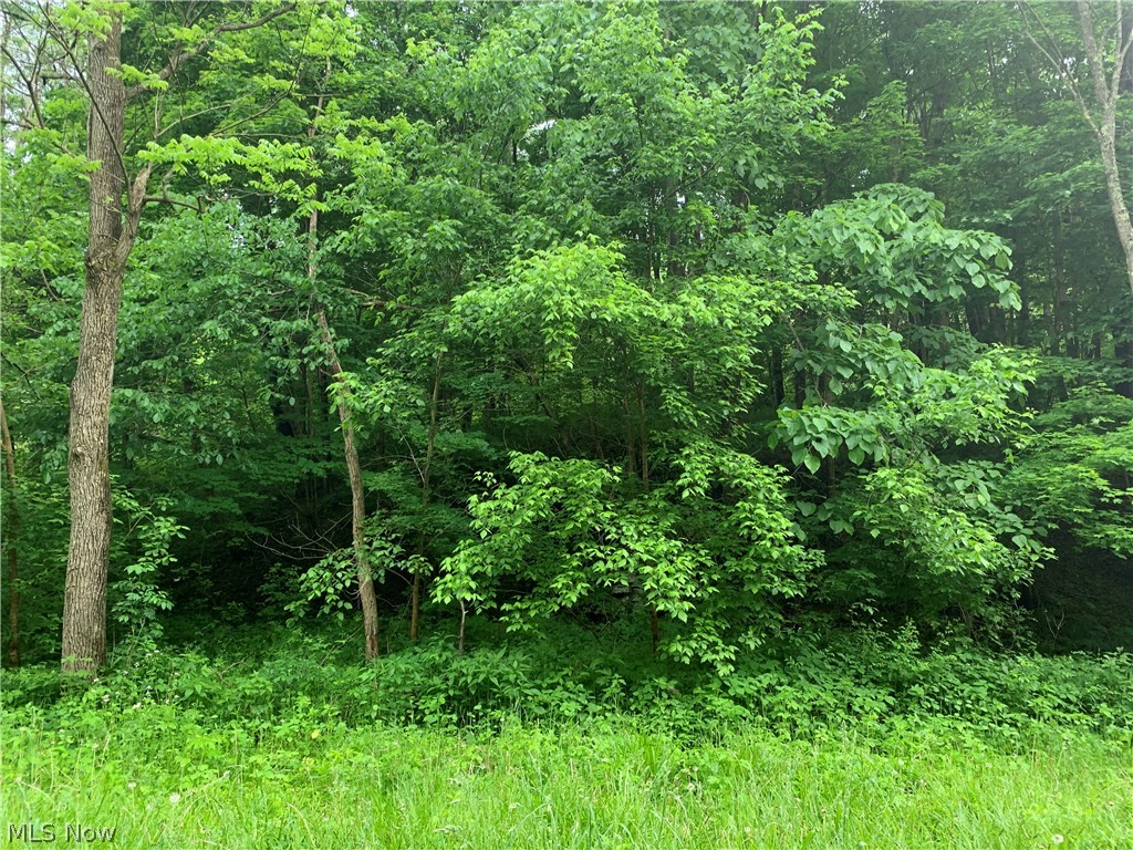 52044 Case Ridge Road Clarington, OH 43915 - Photo 29 of 35 Gallery Image 29
