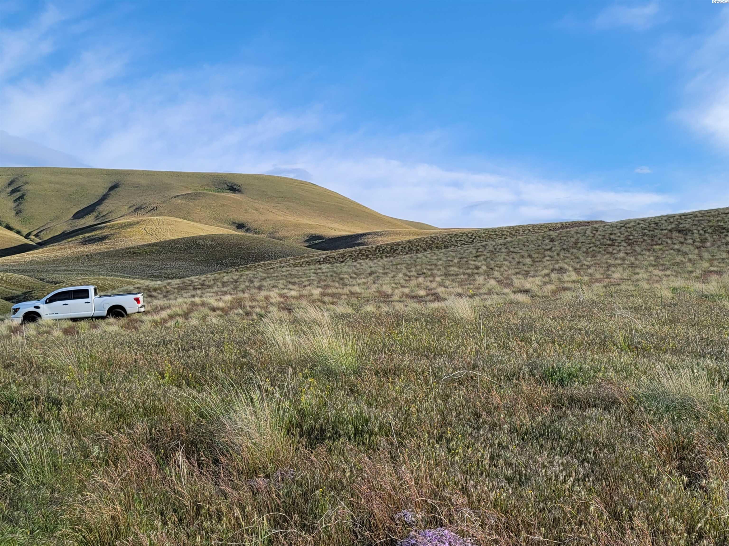 Lot 4-surv Ward Gap Road Prosser, WA 99350 - Photo 19 of 25 Gallery Image 19