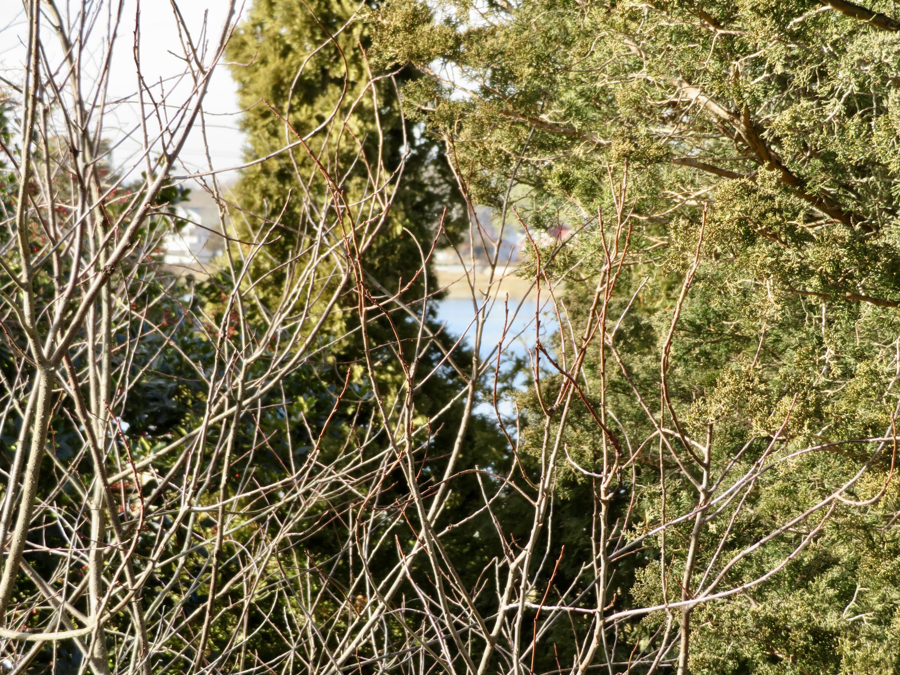 111 Elgin Road Pocasset, MA 02559 - Photo 21 of 34