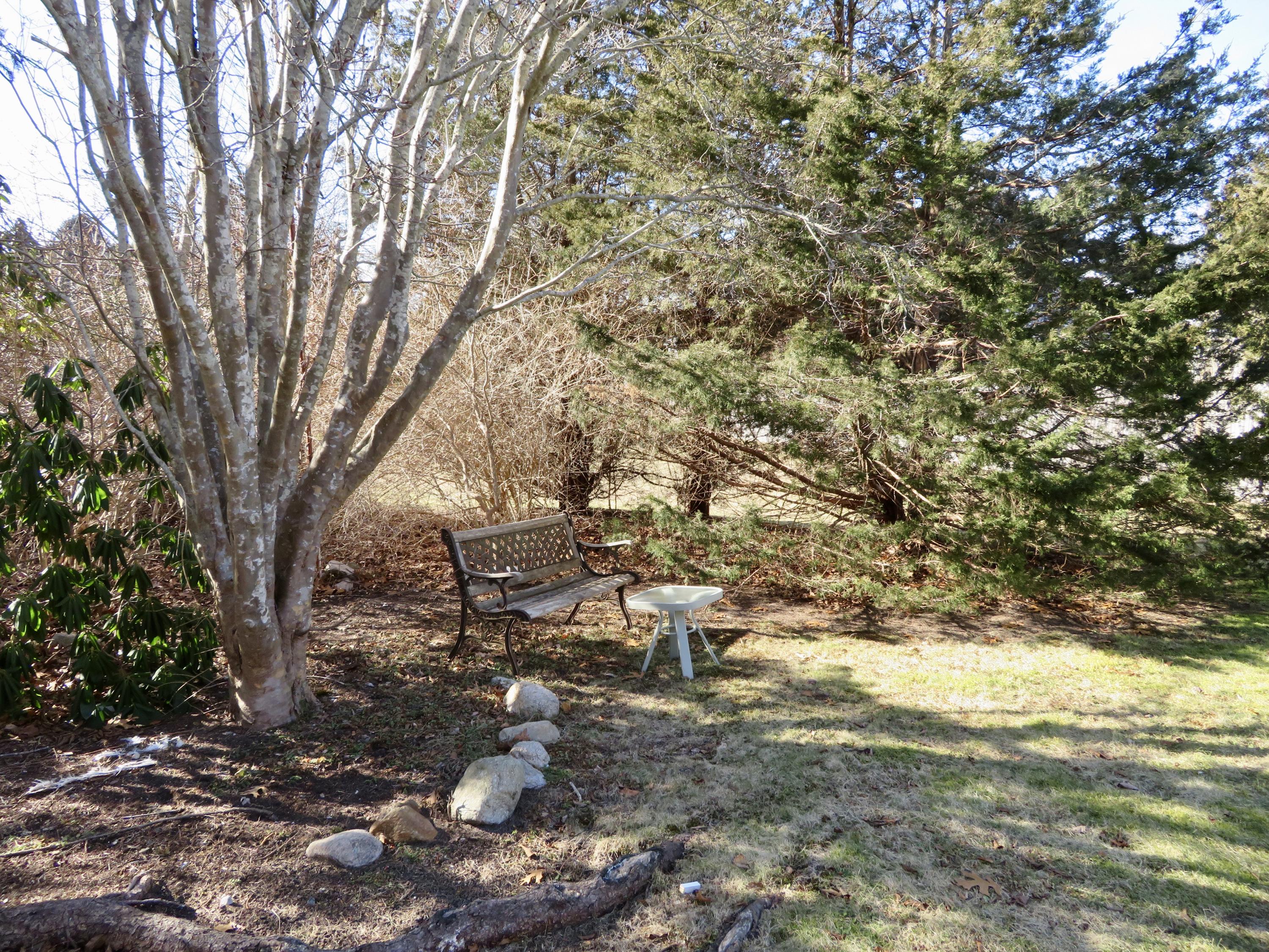 111 Elgin Road Pocasset, MA 02559 - Photo 30 of 34 a backyard of a house with lots of green space