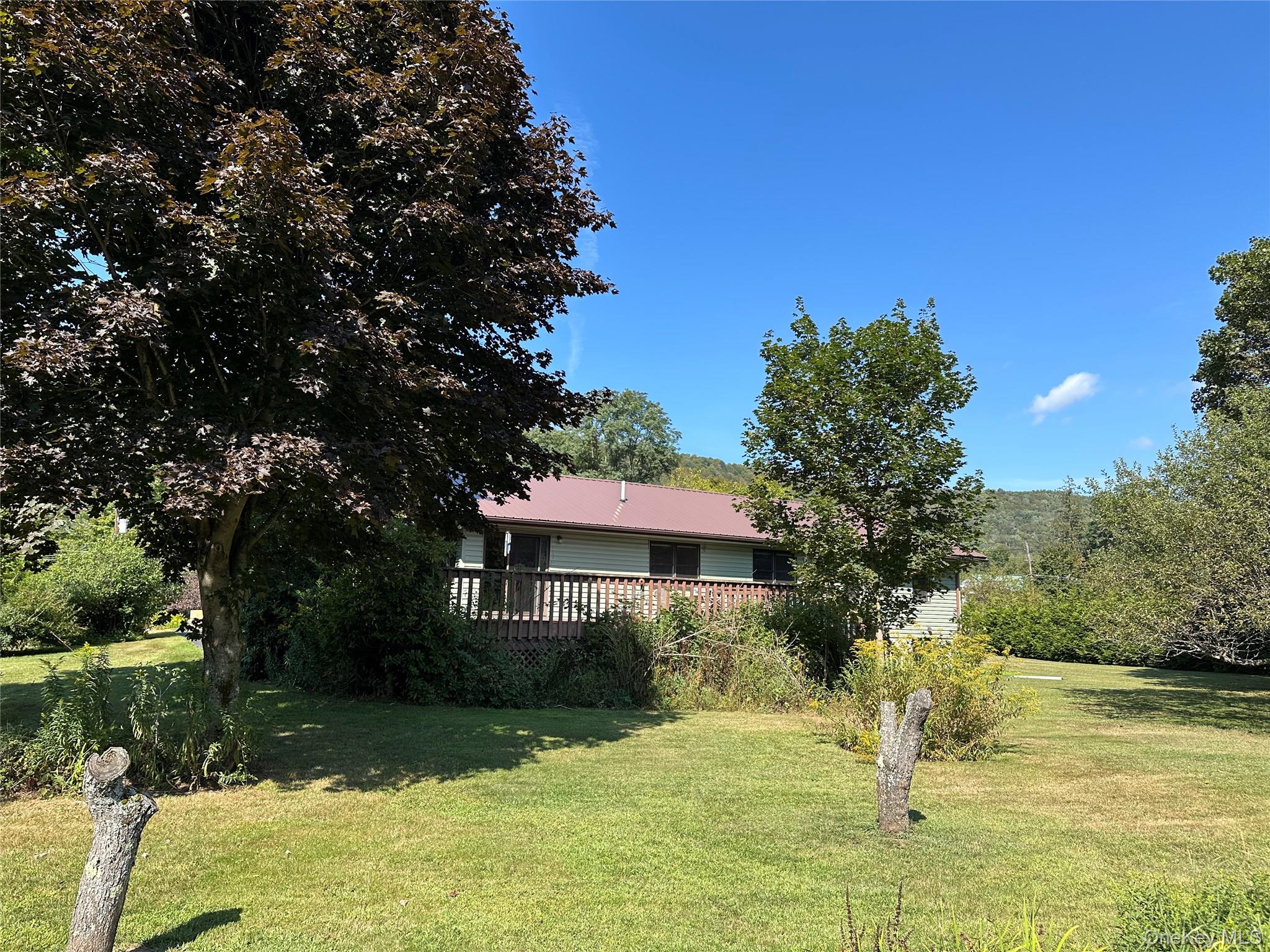 250 Rockland Road Roscoe, NY 12776 - Photo 11 of 32 View of grassy yard