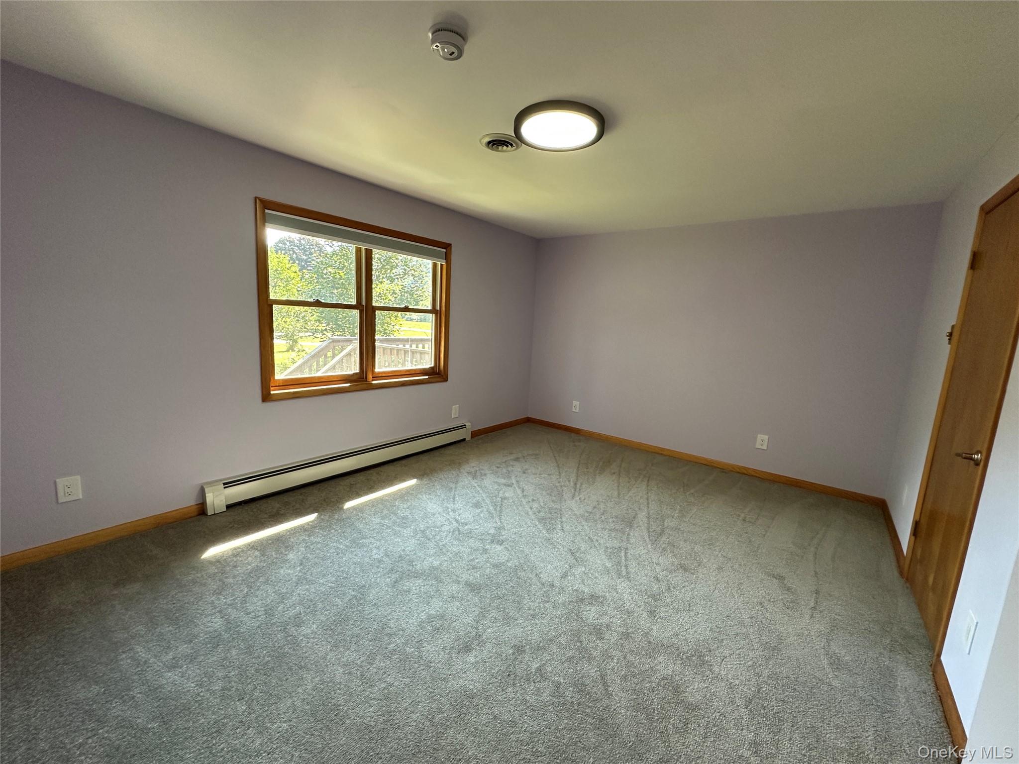250 Rockland Road Roscoe, NY 12776 - Photo 26 of 32 Empty room featuring baseboard heating and light carpet