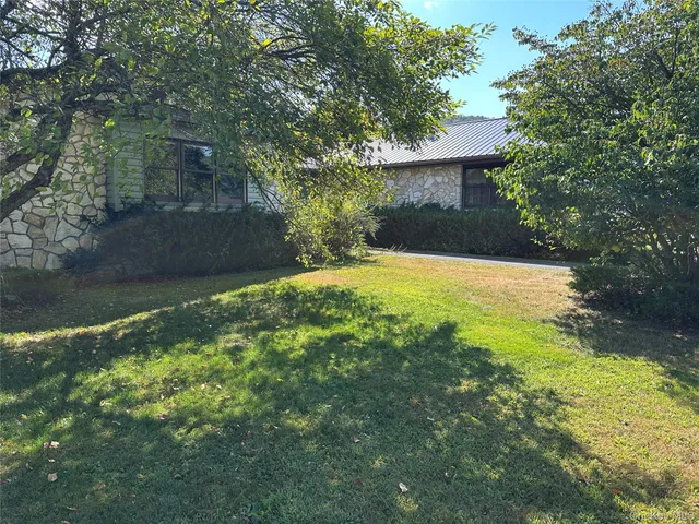a view of a backyard with plants and large trees