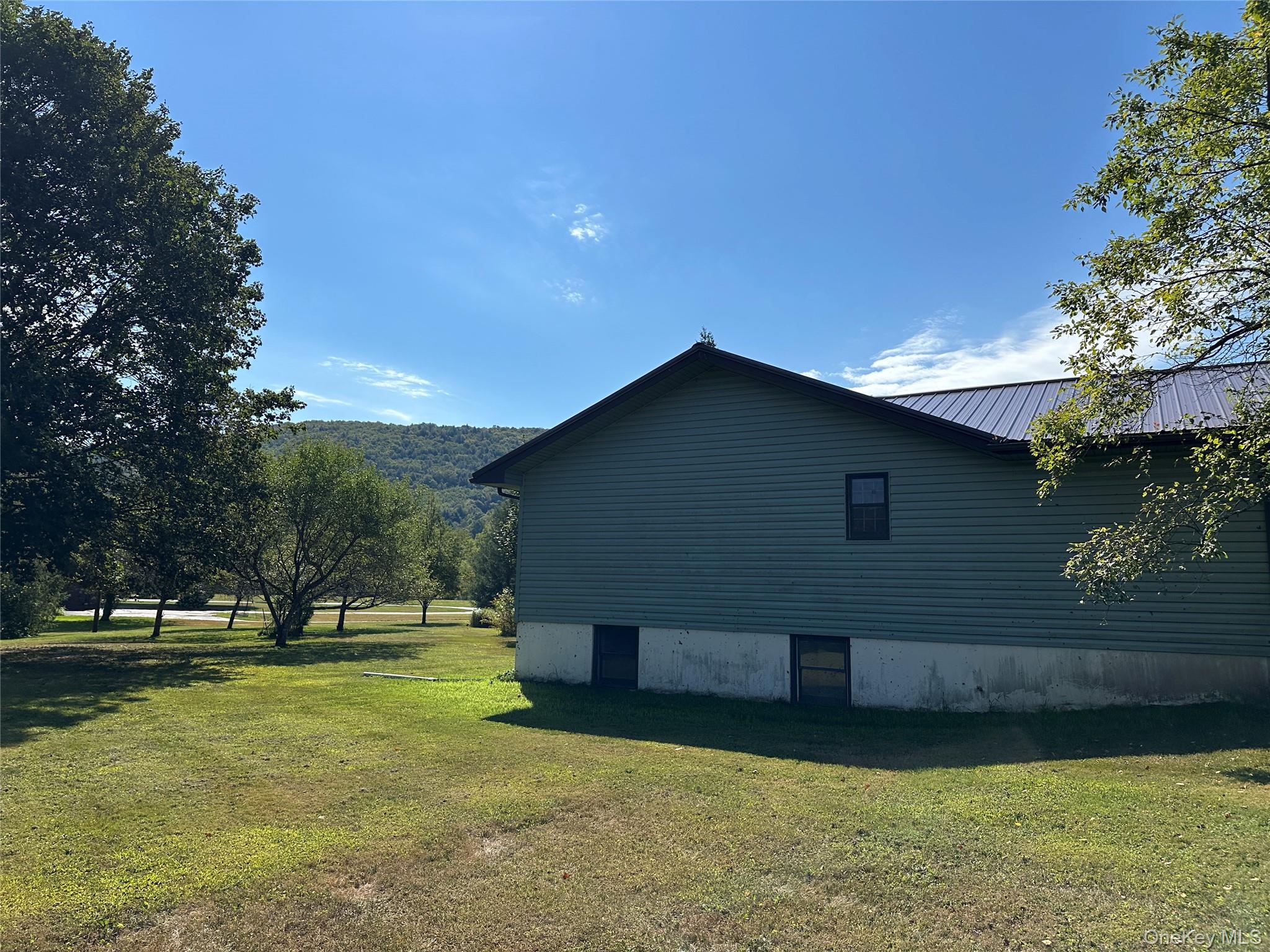 250 Rockland Road Roscoe, NY 12776 - Photo 7 of 32 View of property exterior with a lawn and a metal roof