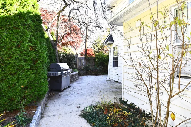a view of a backyard with plants and trees