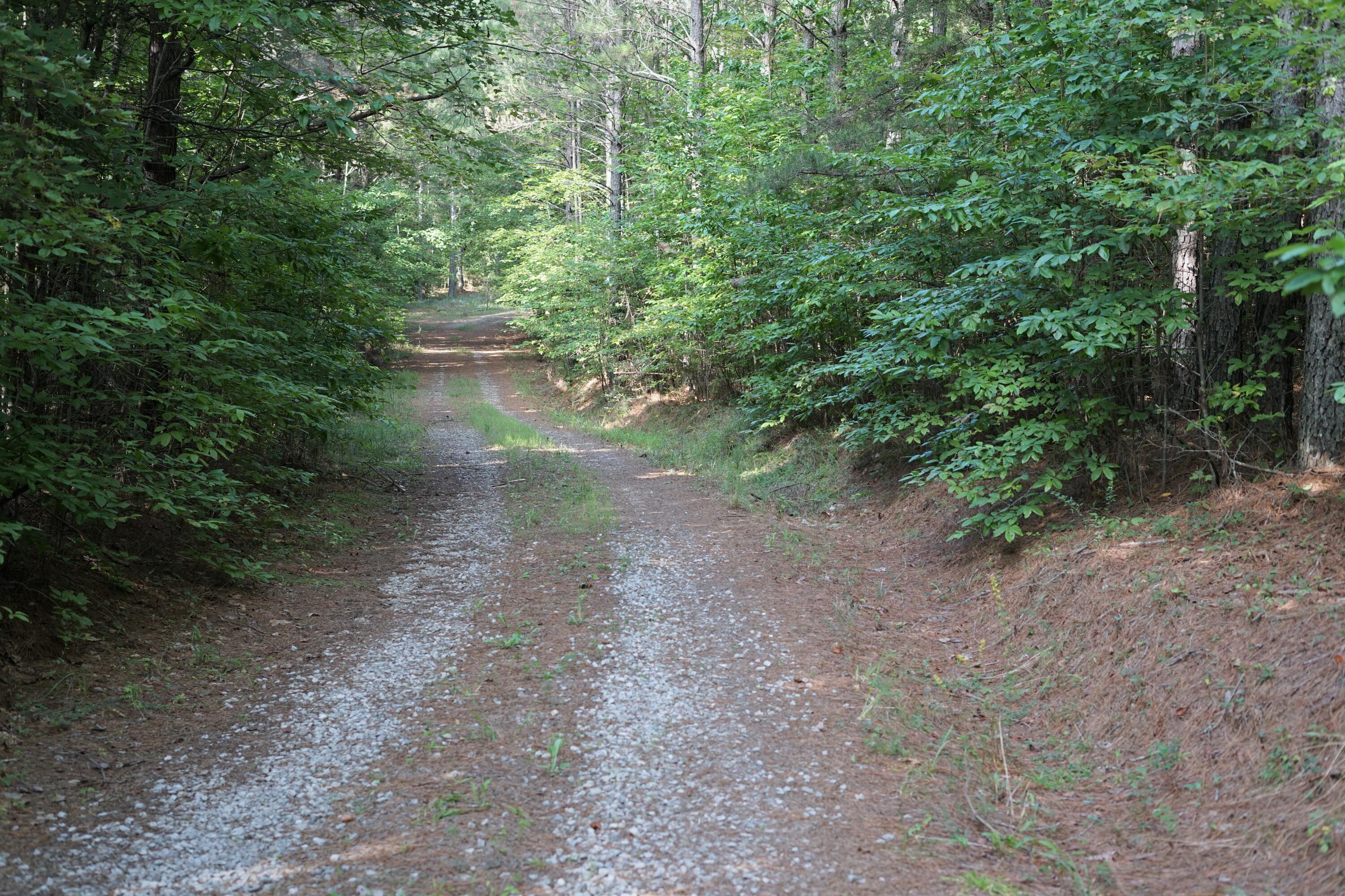 0 Wolfhaven Road, Unit 2 Spencer, TN 38585 - Photo 3 of 4 Dry Creek 1 2