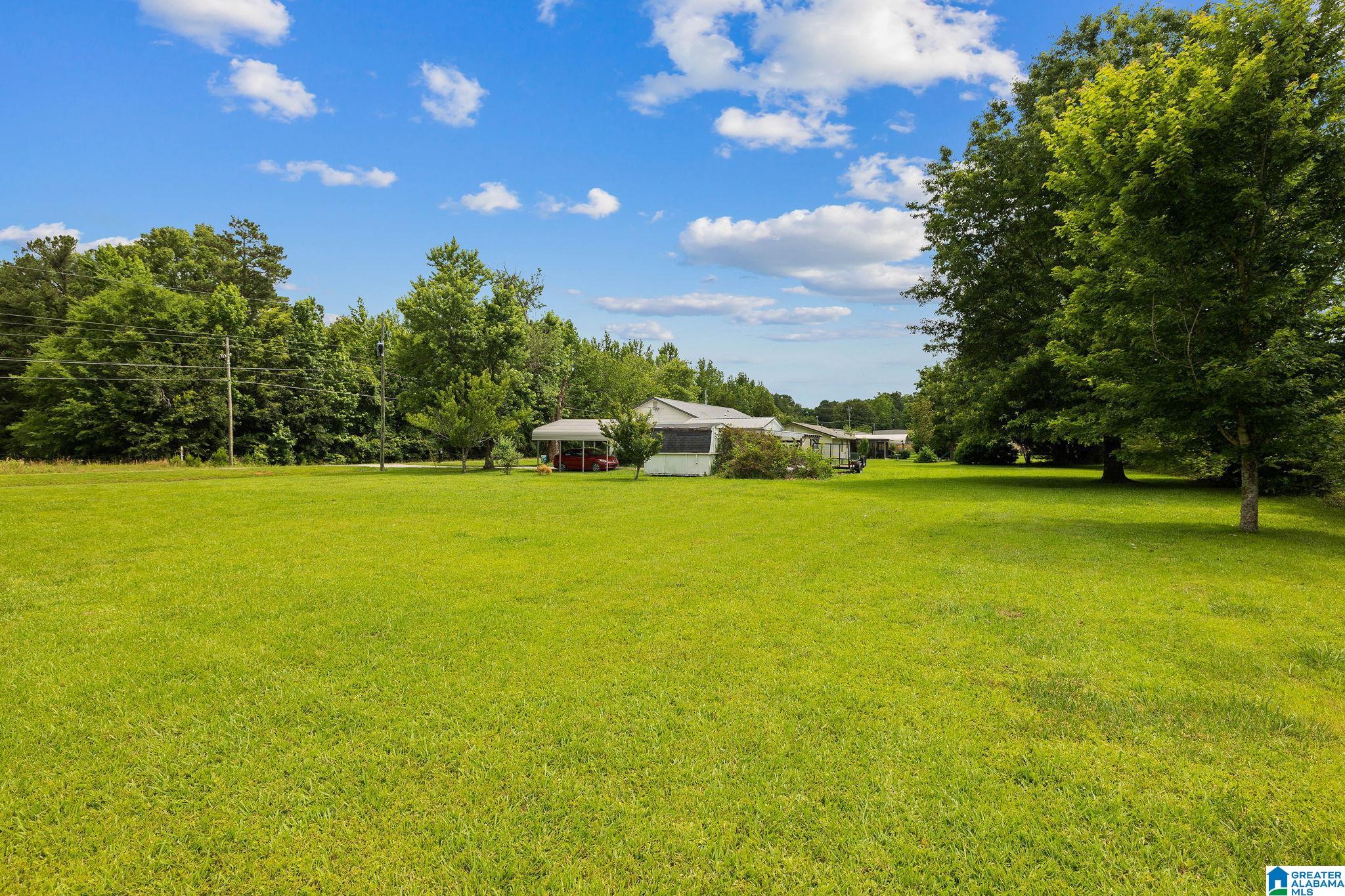 4090 Mcintosh Road Oxford, AL 36203 - Photo 14 of 19