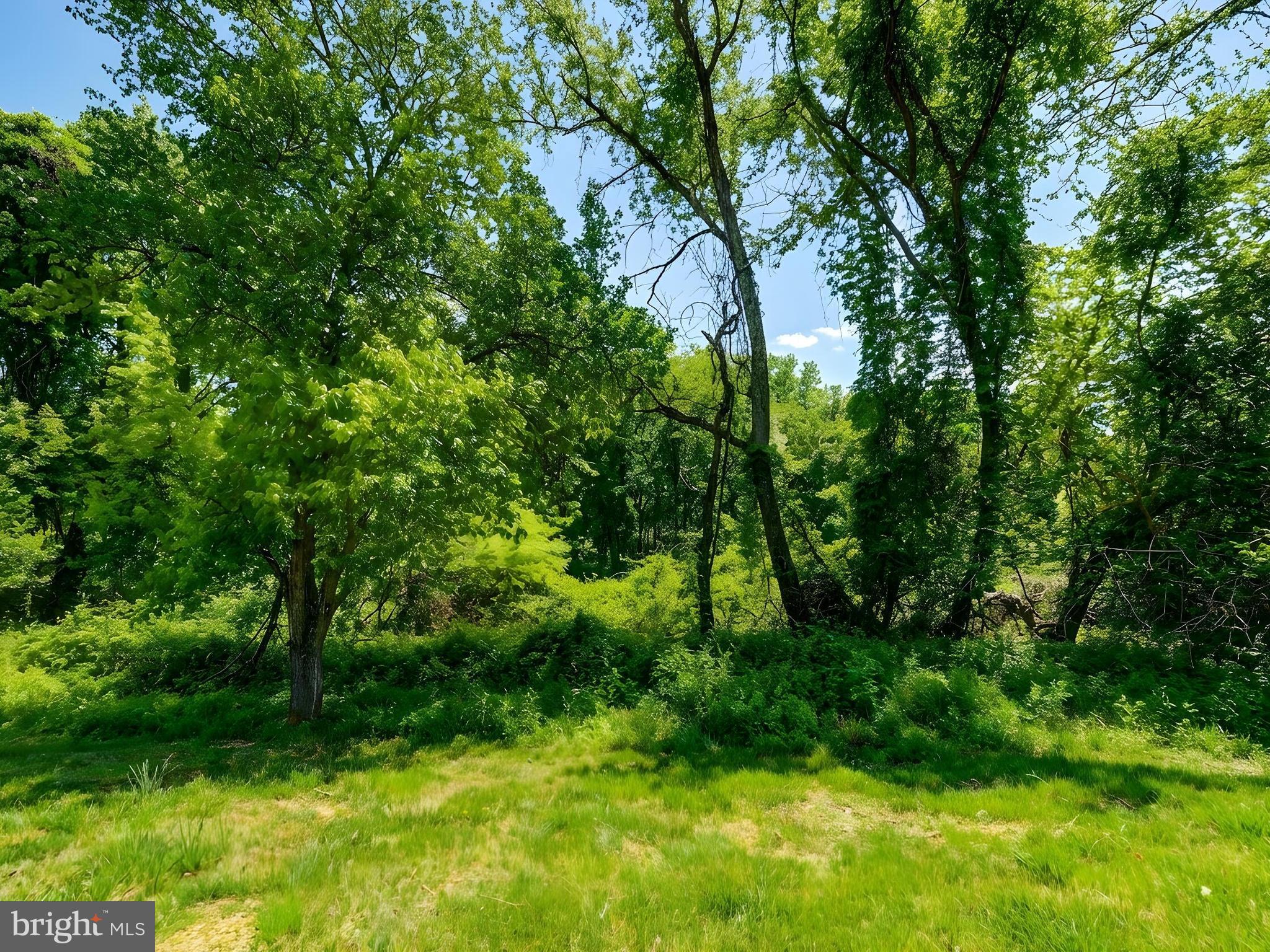 8381 Montgomery Run Road, Unit C Ellicott City, MD 21043 - Photo 24 of 33