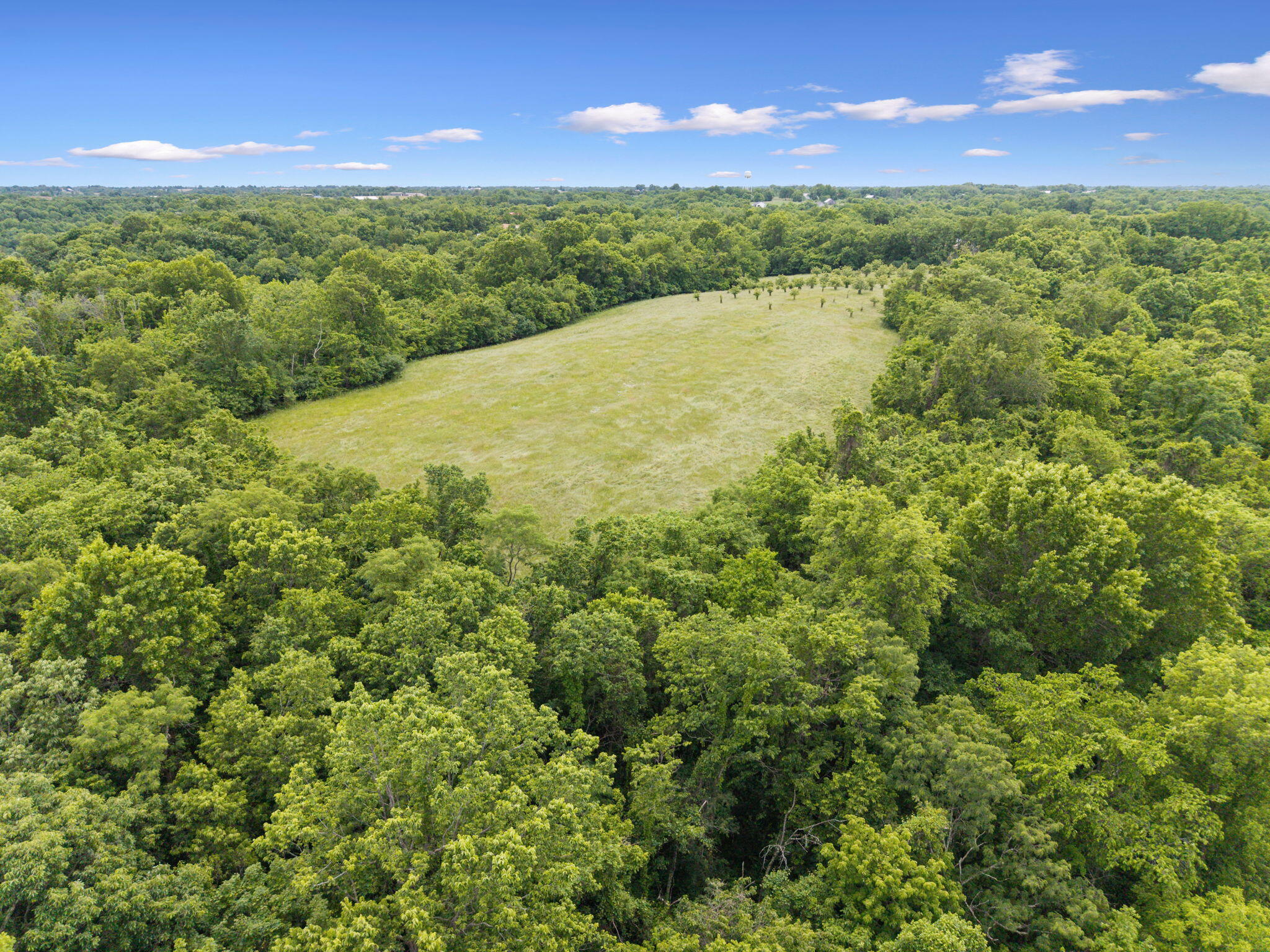 925 Lockmier Road Augusta, KY 41002 - Photo 40 of 50