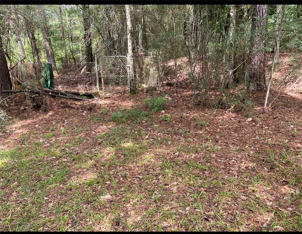 76215 Louis Quave Road Covington, LA 70435 - Photo 5 of 9 Gallery Image 5