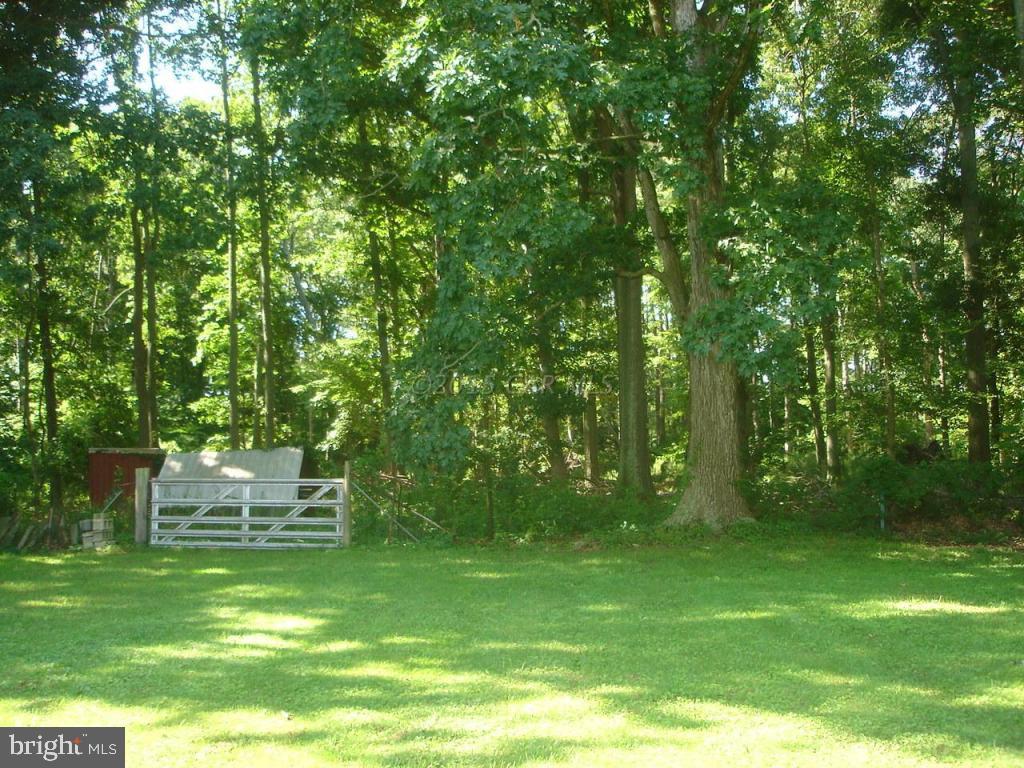 26553 Mariners Road Crisfield, MD 21817 - Photo 8 of 18 Gallery Image 8
