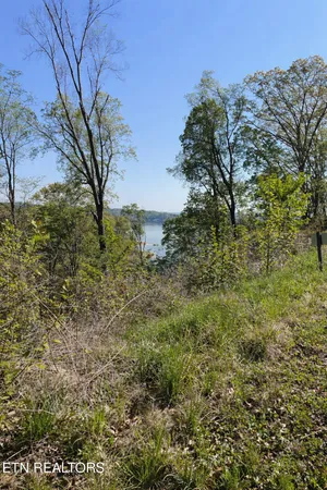 $156,900 | Lot 135 West Point Drive, Dandridge, TN 37725