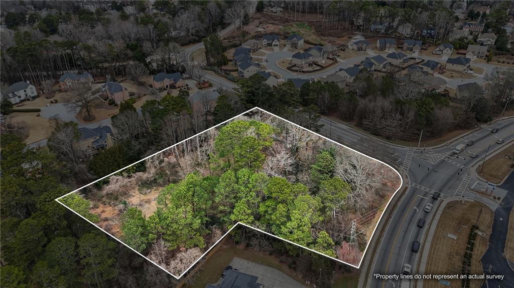 a view of a backyard with plants