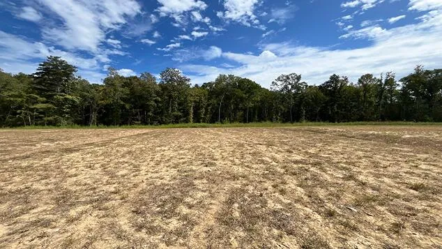 $402,340 | 456 Tulip Poplar Drive, Moncks Corner, SC 29461