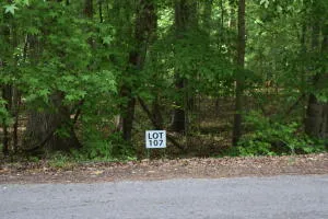 $27,450 | Lot 107 Treasure Tree Road, Ten Mile, TN 37880