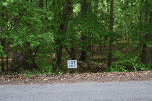 Lot 107 Treasure Tree Road Ten Mile, TN 37880 - Photo 1 of 1 Lot 107jpg