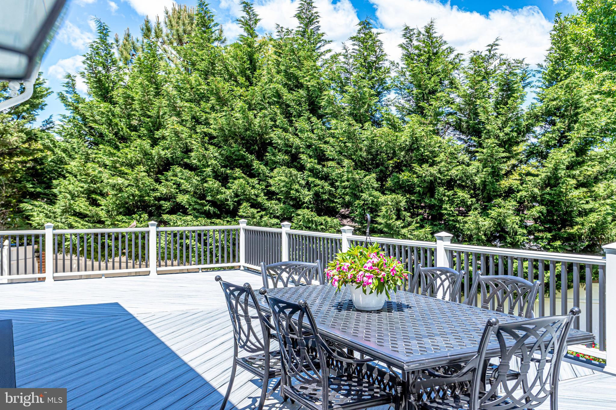 7381 Rodeo Court Annandale, VA 22003 - Photo 113 of 137