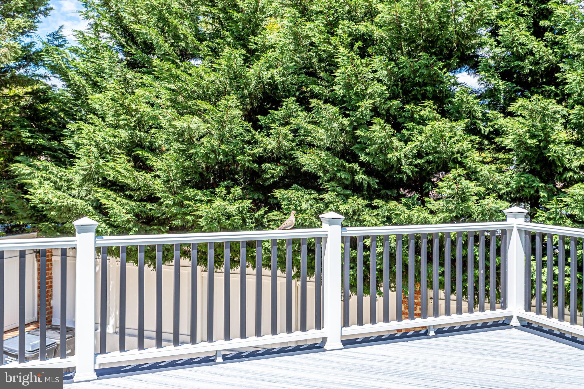 7381 Rodeo Court Annandale, VA 22003 - Photo 115 of 137