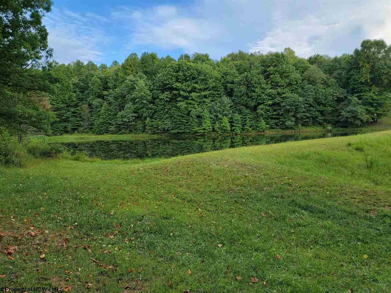 Alexander Road French Creek, WV 26218 - Photo 1 of 6 Gallery Image 1