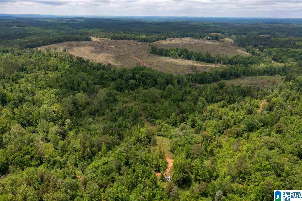 5936 Montevallo Road Centreville, AL 35042 - Photo 2 of 35