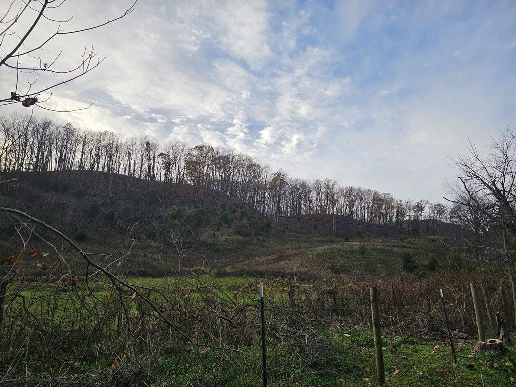 28315 Poor Valley Road, Unit 15 Saltville, VA 24370 - Photo 6 of 15 Gallery Image 6