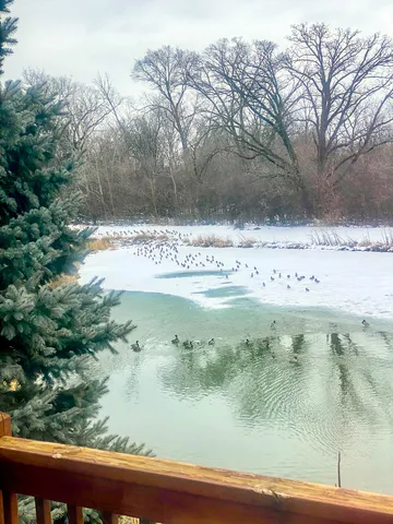 a view of a lake view