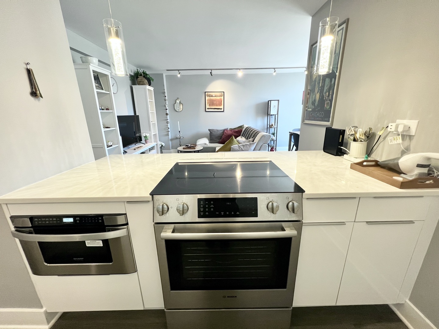 1455 North Sandburg Terrace, Unit 1504B Chicago, IL 60610 - Photo 4 of 15