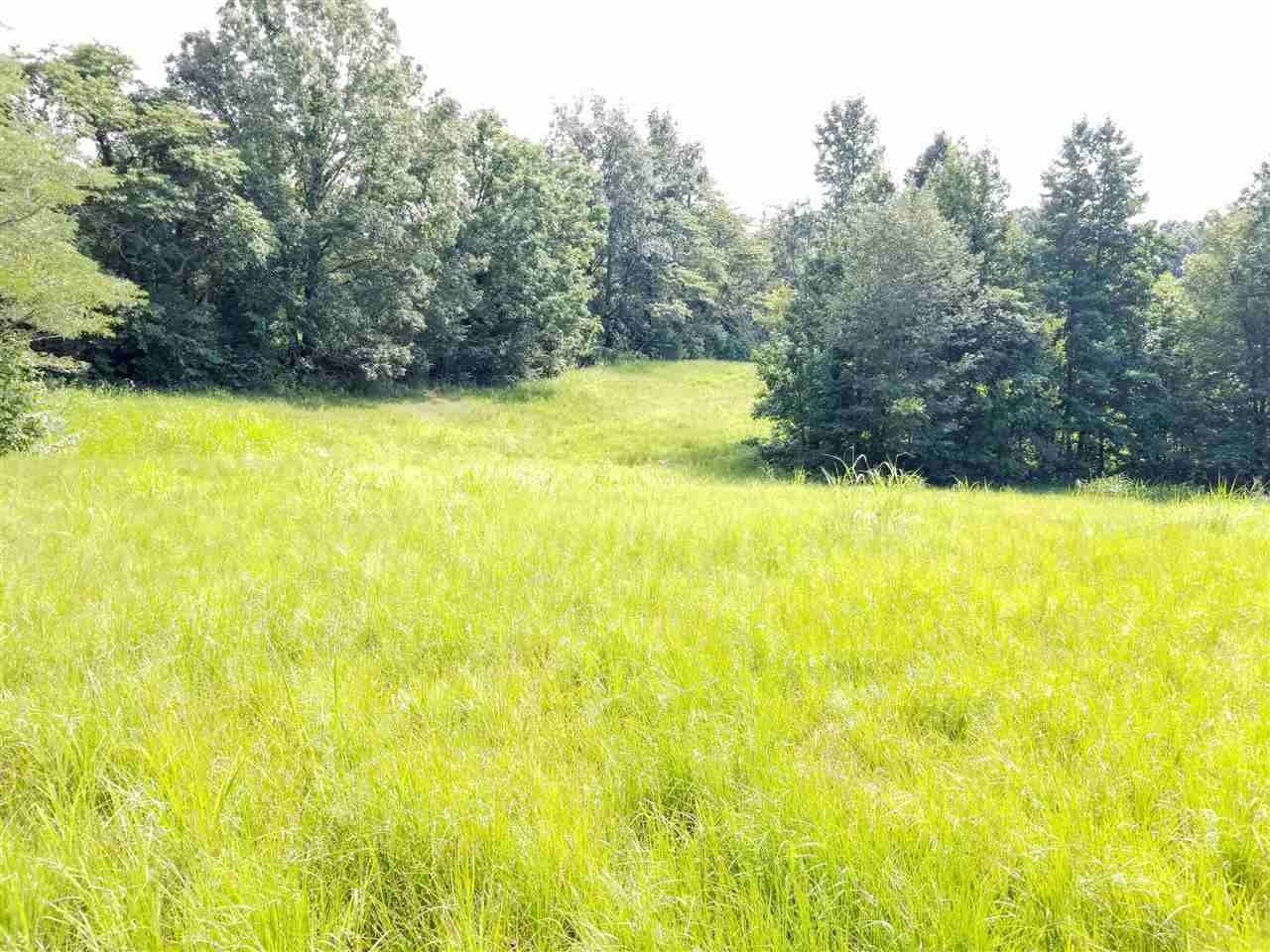 3512 Beaver Road Munford, TN 38058 - Photo 1 of 9 Gallery Image 1