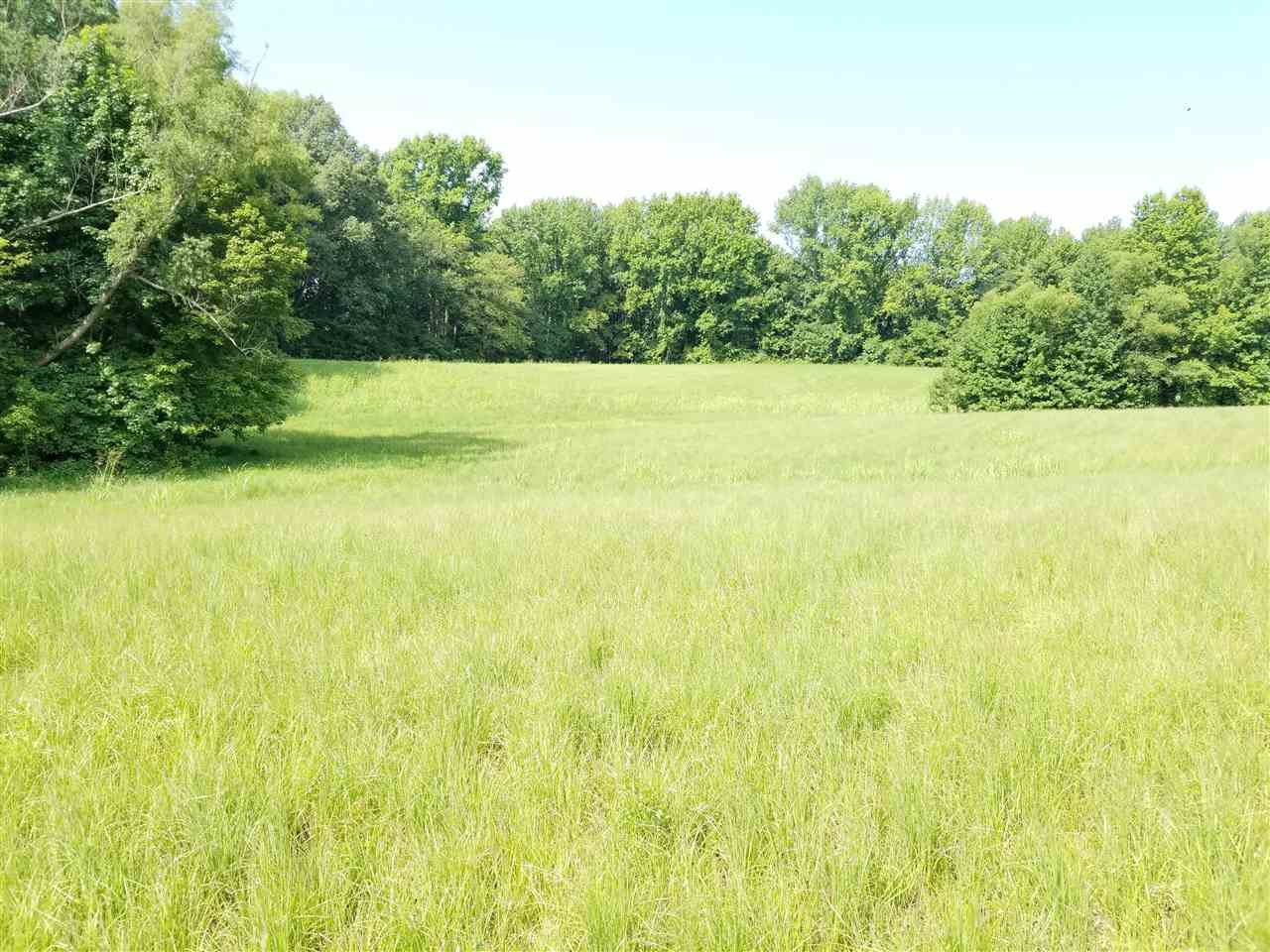 3512 Beaver Road Munford, TN 38058 - Photo 5 of 9 Gallery Image 5