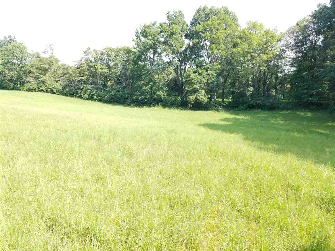 3512 Beaver Road Munford, TN 38058 - Photo 6 of 9 Gallery Image 6