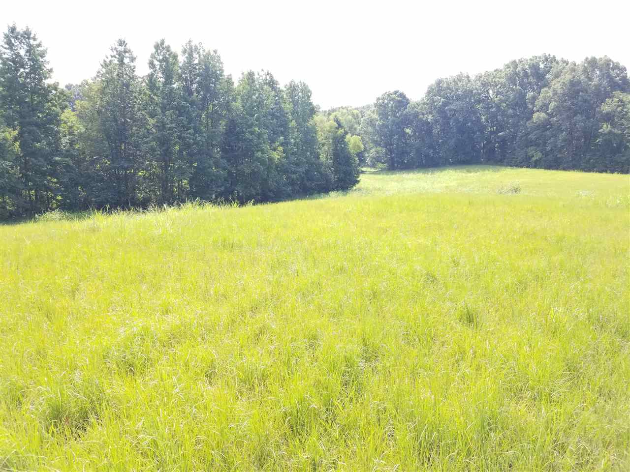 3512 Beaver Road Munford, TN 38058 - Photo 7 of 9 Gallery Image 7