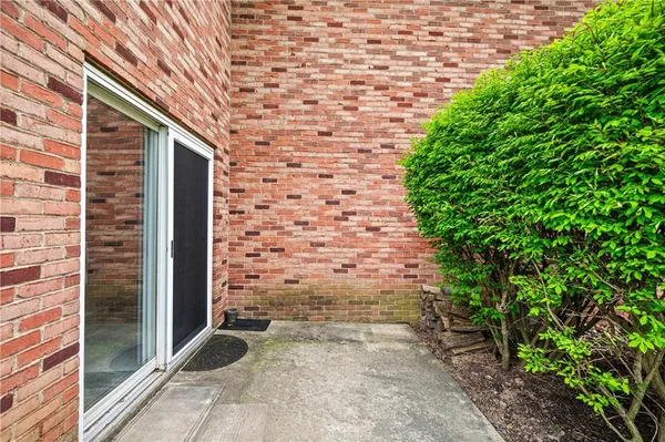a view of a backyard with large trees